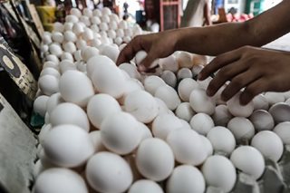 Egg prices up by P10 per tray