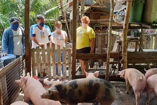 9 Zamboanga villages can't supply pork over ASF fears