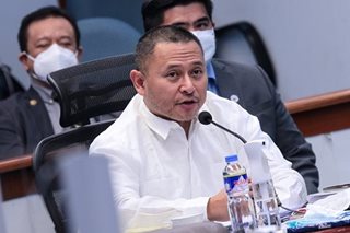 Respect for incumbents, ties with minority key for incoming Senate chief: Angara