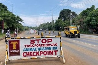 Temporary ban sa ibon mula sa lugar na may bird flu, ipinatupad sa Davao City