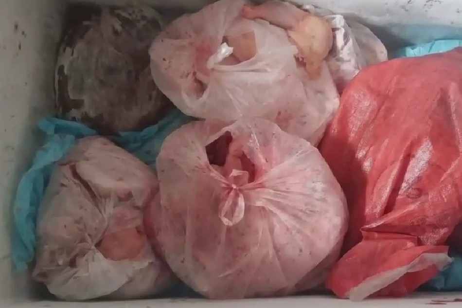 Higit 230 kilo ng mishandled frozen meat nasabat