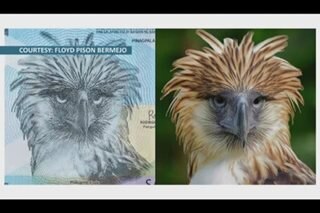 Pilot's PH eagle photo picked for P1,000 bill