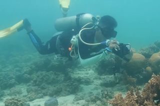 Diving sites binida sa pista sa Samal Island