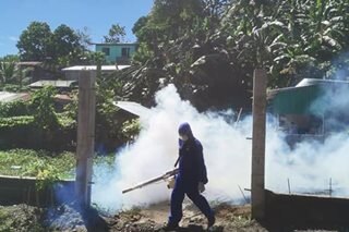 Davao City reports 654 dengue cases this year