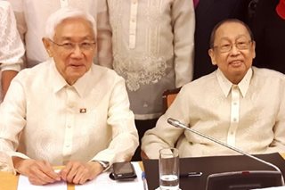 Groups press for removal of Luis Jalandoni’s terror tag