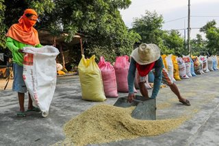 'Di kaya': Next DAR chief shuts down P20/kilo rice for now