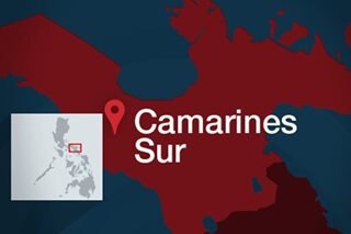 3 patay sa pananaga sa alitan sa lupa sa Camarines Sur