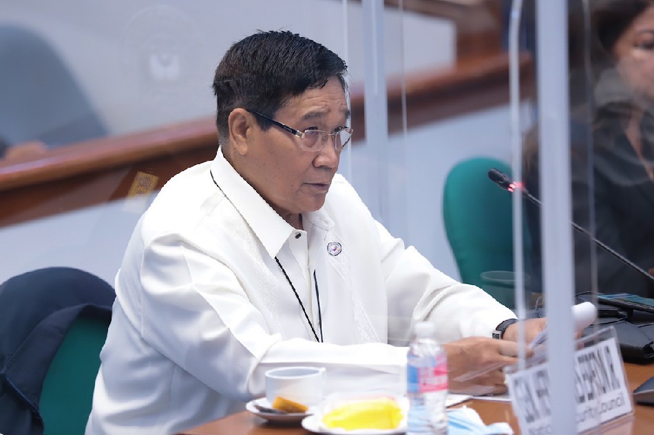 National Security Adviser (Ret) Gen. Hermogenes Esperon Jr. attends the continuation of a Senate inquiry on the red-tagging/red-baiting of certain celebrities, personalities, institutions and organizations Tuesday, November 24, 2020. Henz Austria, Senate PRIB