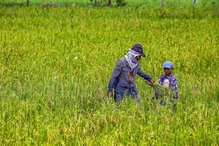 Agri competitiveness fund extension eyed