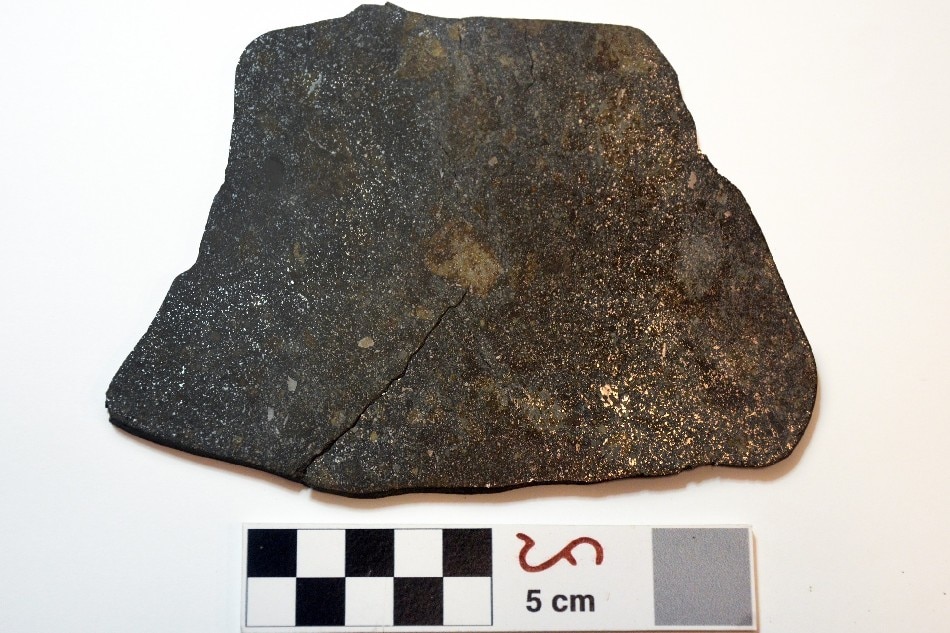 Rare meteorite donated to National Museum