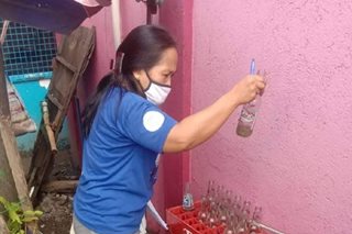 Mga hakbang kontra dengue pinaigting sa Tanza, Cavite