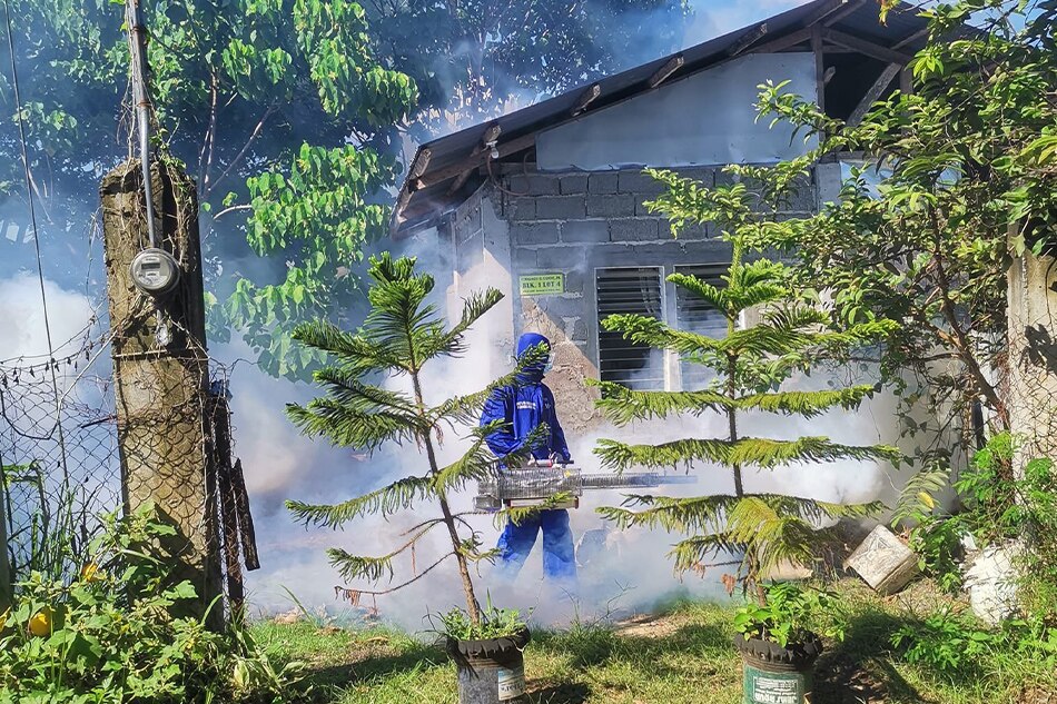 Kaso Ng Dengue Sa Davao City Halos 1,000 Na | ABS CBN News