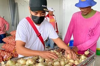 Farmers urge gov't: Use up PH red onion supply first