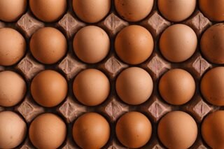 China heat wave pushes up prices as hens lay fewer eggs