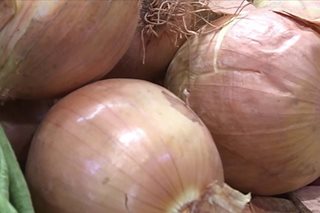 Over 1,000 bags of smuggled onions seized in Manila