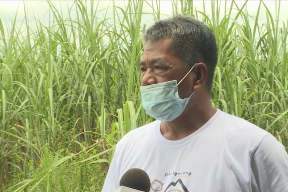 Mga sugarcane farmer sa Tarlac nangangambang hihina pa ang ani 