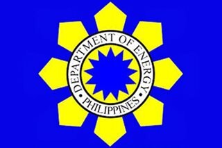 Ex-chief justices Puno, Panganiban join DOE as advisors