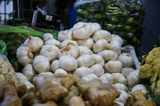 Agri Dept seeks institutional buyers for native garlic