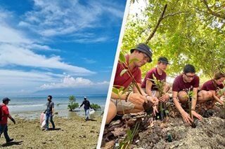 Coastal cleanup, mangrove planting isinagawa sa Davao City