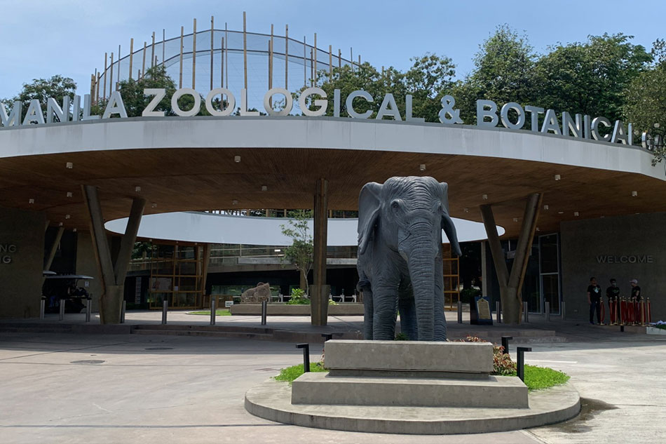 Manila Zoo. Raya Capulong, ABS-CBN News