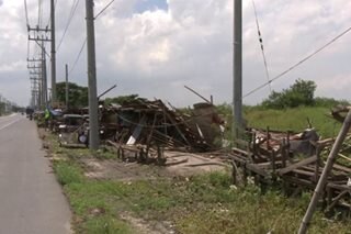 Nueva Ecija farms suffer over P3-B worth of damage