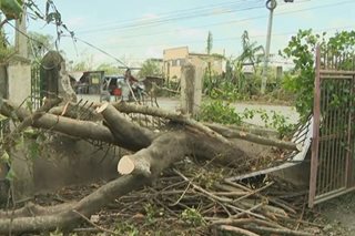 Nueva Ecija mayor humihingi ng saklolo sa gobyerno