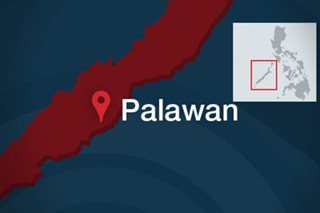 4 Vietnamese caught illegally fishing off Palawan: PCG