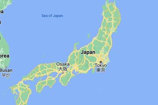 Sex bomb: Japan suspect bag turns out to be 'adult goods'