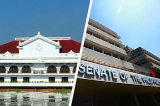 Senate panel passes P8.9-B budget for Office of the President