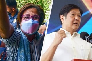 De Lima asks Marcos Jr. to undo 'wrongs' inflicted on her by Duterte