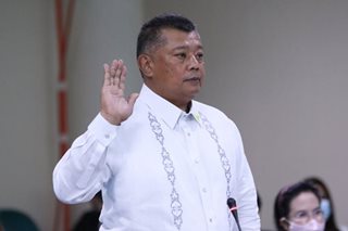 Ex-lawyers' group head warns of 'system collapse' if Remulla interferes with son's drug case