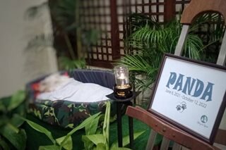 PANOORIN: Ilang uri ng pet cremation 