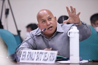 Bato wants more fund research for root crop production