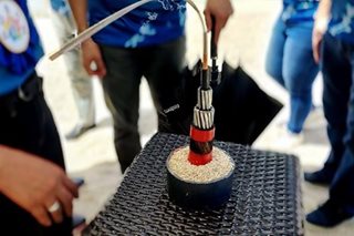 Globe, partners bring subsea cable project to Cebu