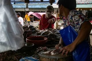 Philippines to import 25,000 MT of fish to boost year-end supply