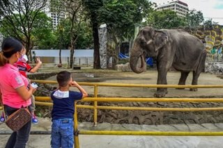 Reopening ng Manila Zoo inurong sa Nobyembre 21