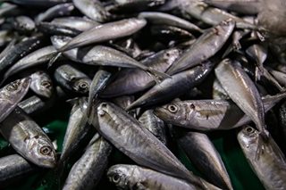 Imported 'galunggong' nabibili sa Balintawak