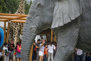 Manila Zoo set to fully reopen