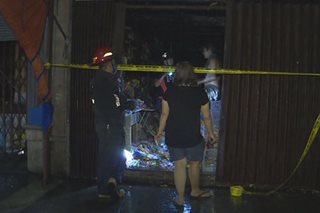Mga alagang hayop patay sa sunog sa Maynila