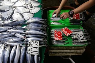 NEDA: Marcos OKs P11-B fishery program as fish catch declines