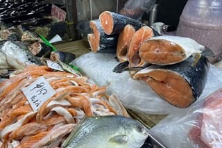 Order banning salmon, pampano in wet markets now under review