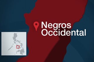 Poet-activist Ericson Acosta killed in Negros Occ: groups