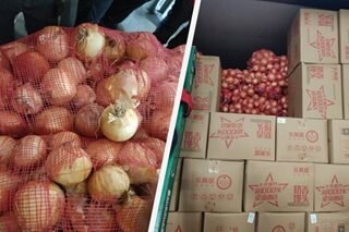 DA: P30-M 'smuggled' yellow onions seized
