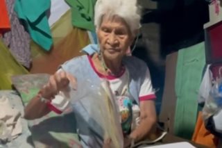 Lola na pumipila sa DSWD para sa kanyang mga apo, naabutan na ng tulong