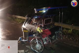 Tricycle nabagsakan ng bakang nahulog mula sa trak; 4 sugatan