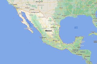 Nine bodies found on road in violent Mexican state