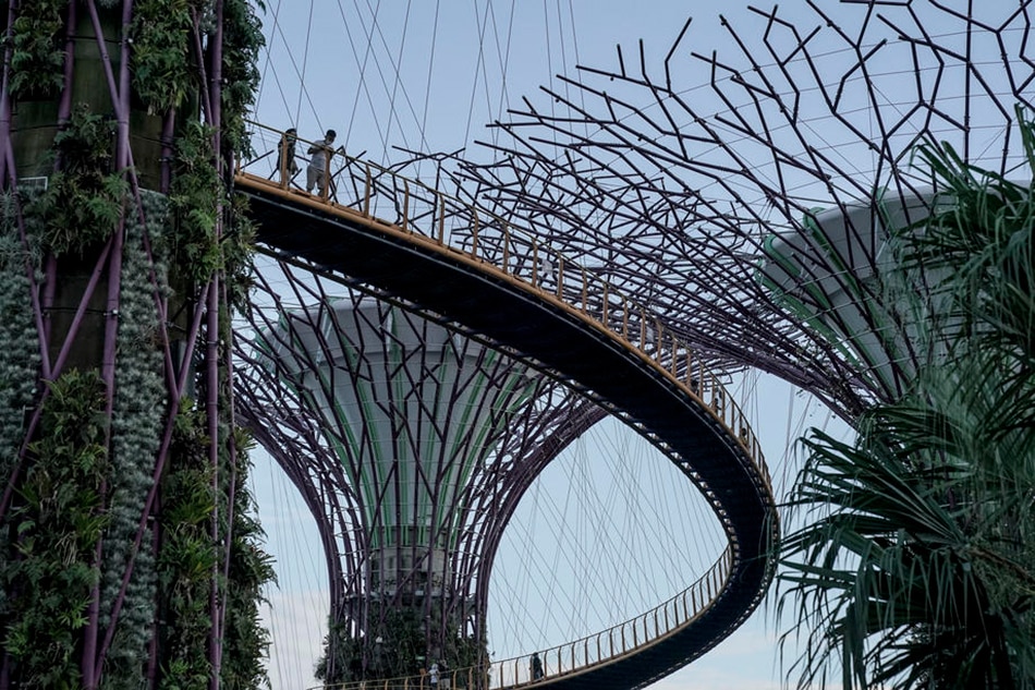 Visitors walk on a skybridge amongst the Supertrees at the Gardens by the Bay in Singapore, Sept. 28 2020. Wallace Woon, EPA-EFE 