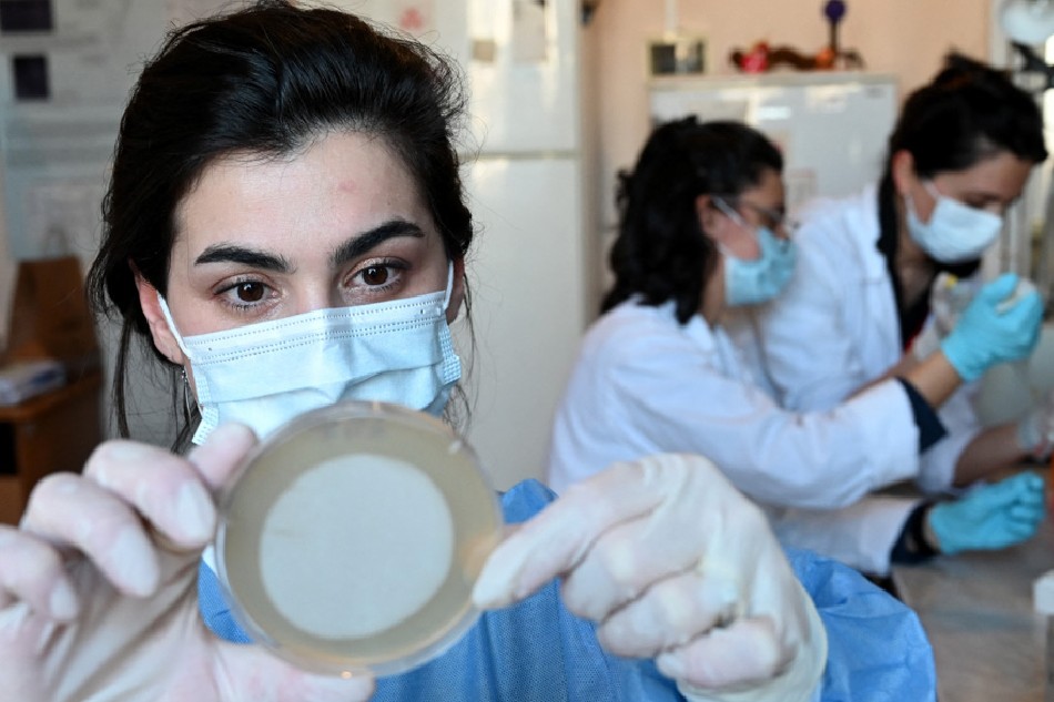 Researchers work in a laboratory of the Eliava Institute of Bacteriophages in Tbilisi on Feb. 24, 2022. Vano Shlamov, AFP/ File
