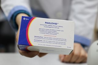 Indemnification hinders PH bulk imports of Paxlovid