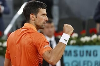Djokovic delivers 'best performance of year' to book Murray clash